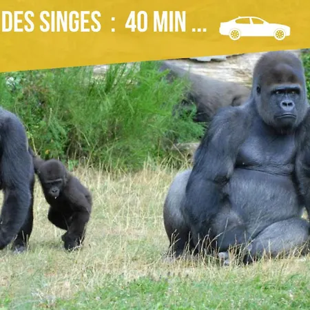 Grands Maillochon Acces Gare De Et Centre A Pieds *