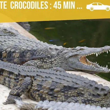 Grands Maillochon Acces Gare De Et Centre A Pieds ポアティエ